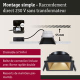 Spot encastré noir avec intérieur doré, profondeur 55 mm, raccordement direct 230 V sans transformateur