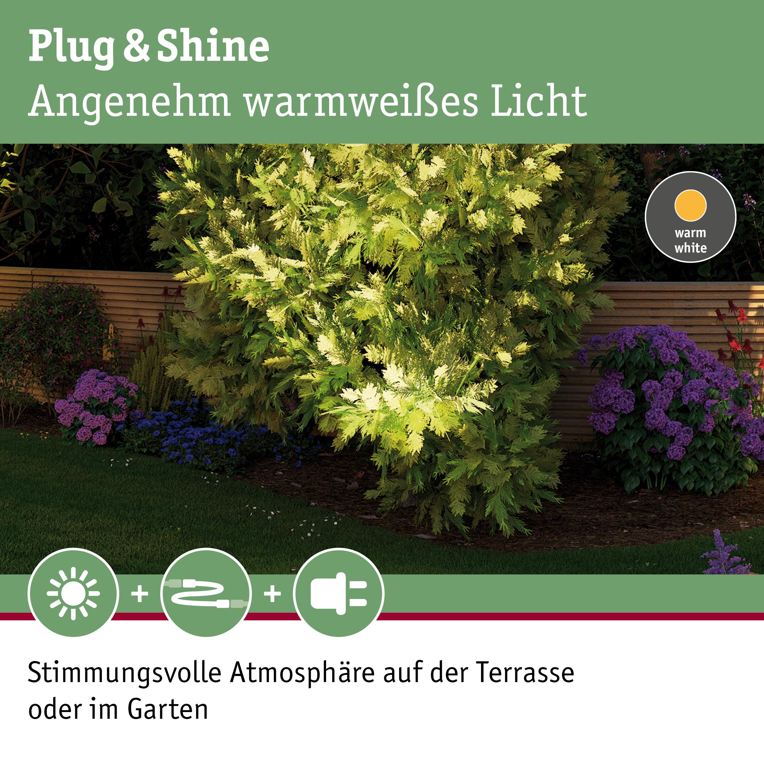 Warmweißes Plug & Shine Licht beleuchtet Gartenpflanzen und schafft stimmungsvolle Atmosphäre im Garten