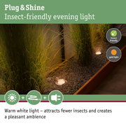 Plug & Shine insect-friendly evening light with warm white LED for garden lighting