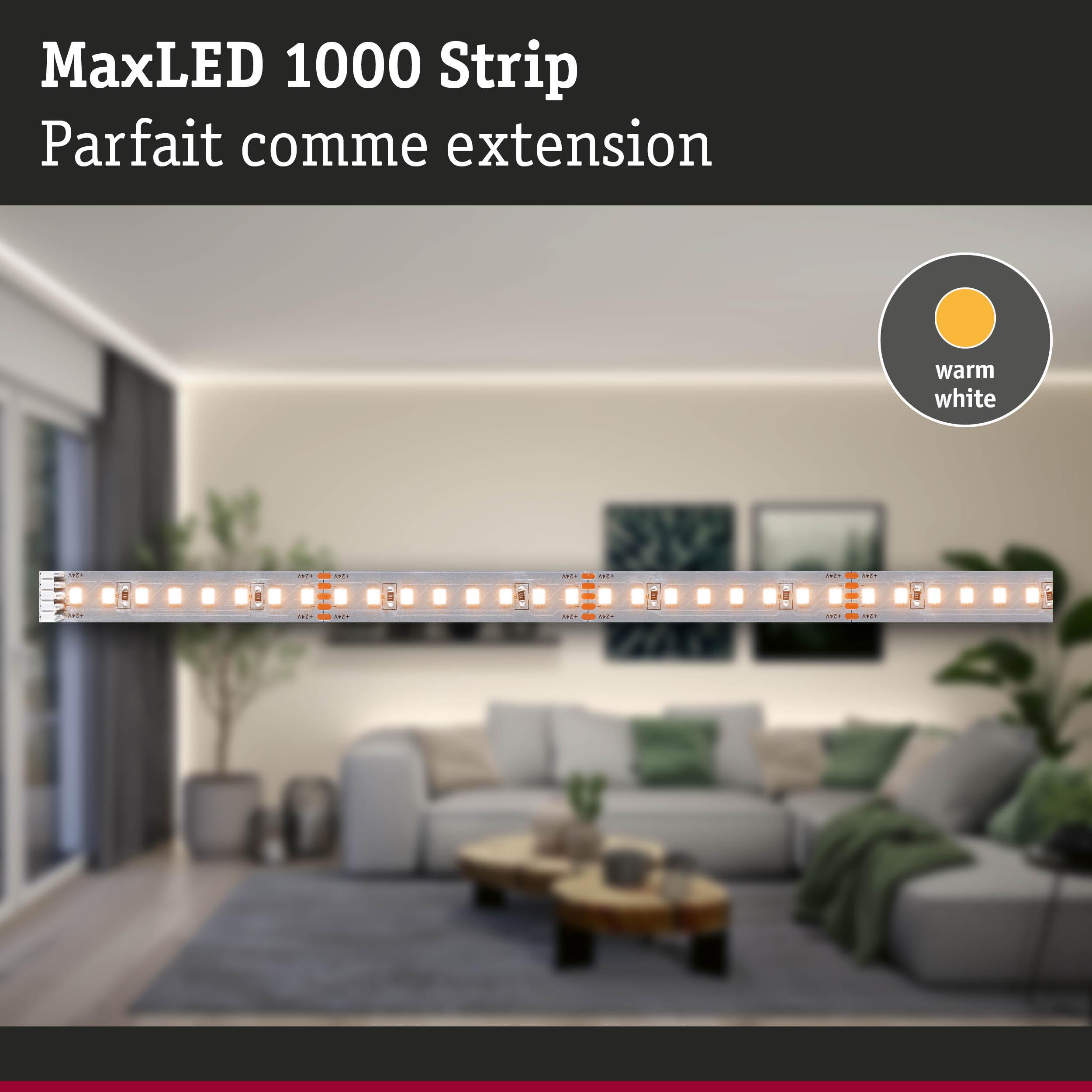 Bande LED MaxLED 1000 Strip blanc chaud pour éclairage d'ambiance intérieure