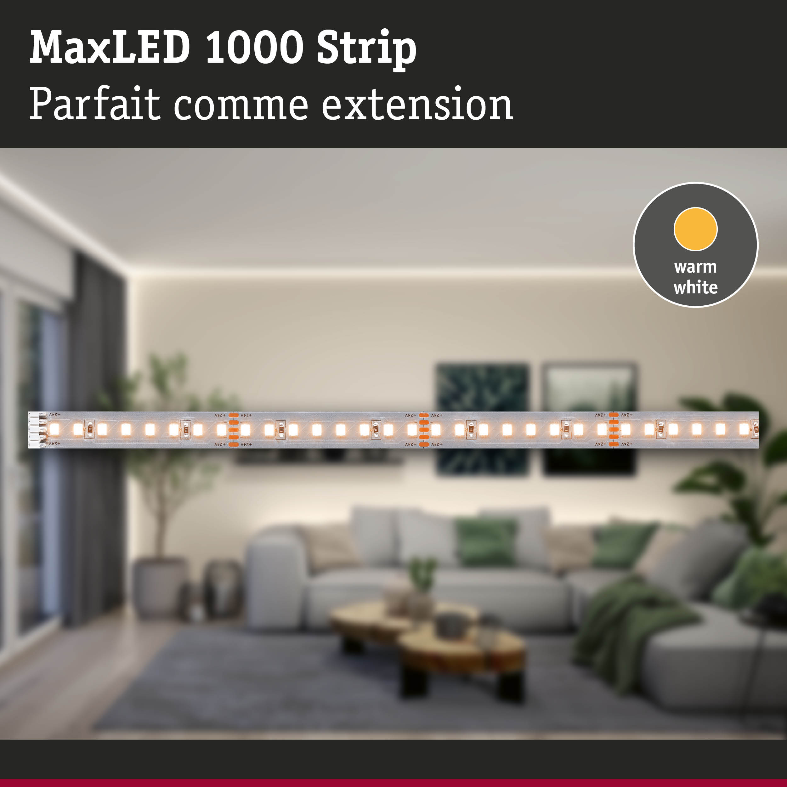 Bande LED MaxLED 1000 en blanc chaud pour éclairage intérieur et extension