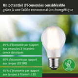 Ampoule économique avec potentiel d’économies d’énergie élevé par rapport aux lampes classiques et LED