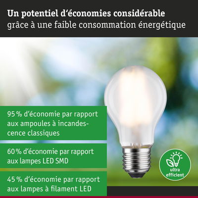Ampoule économique avec potentiel d’économies d’énergie élevé par rapport aux lampes classiques et LED