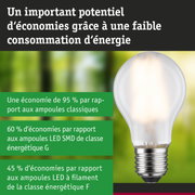 Ampoule LED économique avec verre blanc et base métallique sur fond vert-bleu flou