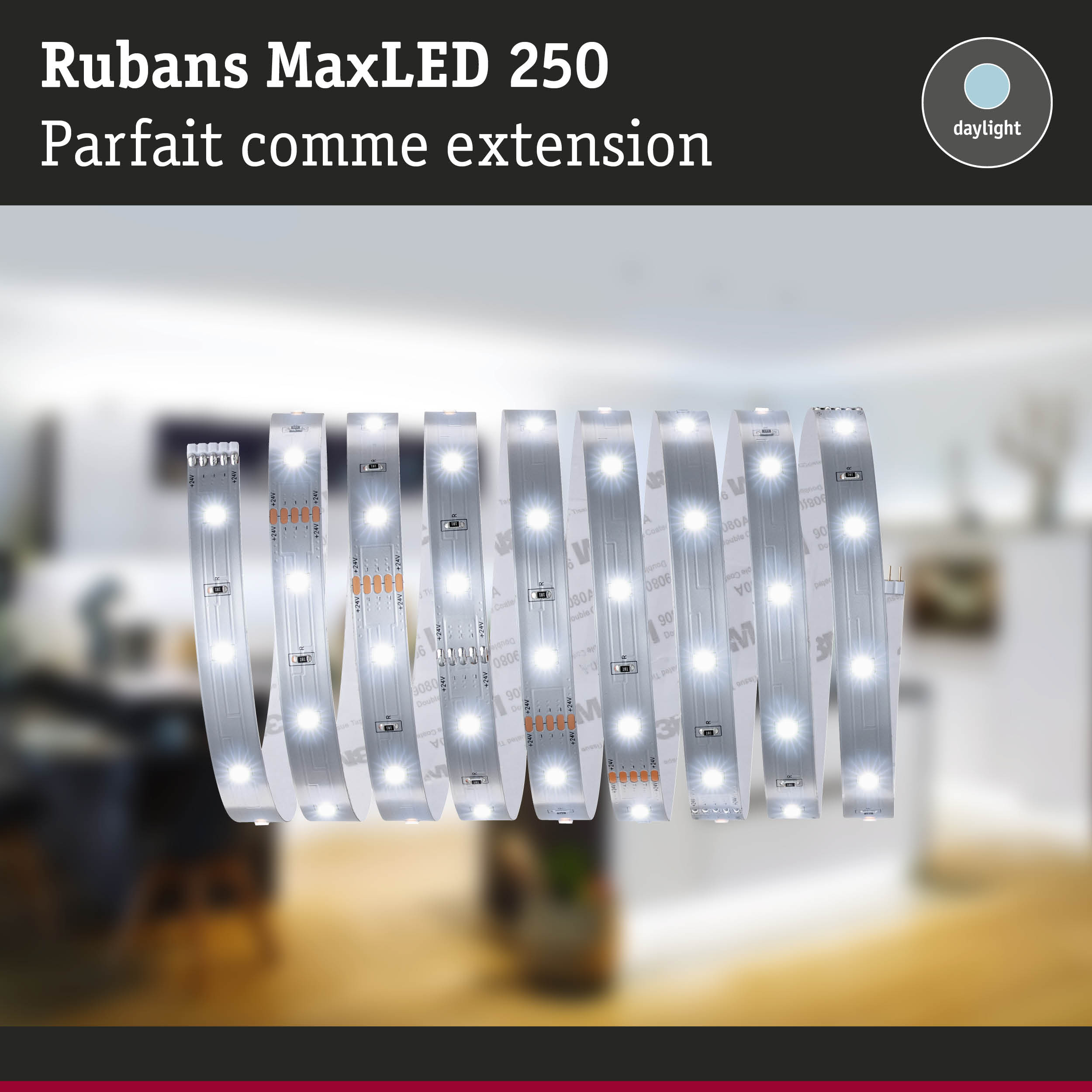 Bandes LED flexibles MaxLED 250 blanches avec lumière de jour pour solutions d'éclairage variées