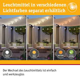 Außenbeleuchtung mit LED-Lichterkette in neutralweiß, warmweiß und goldfarben, insektenfreundlich