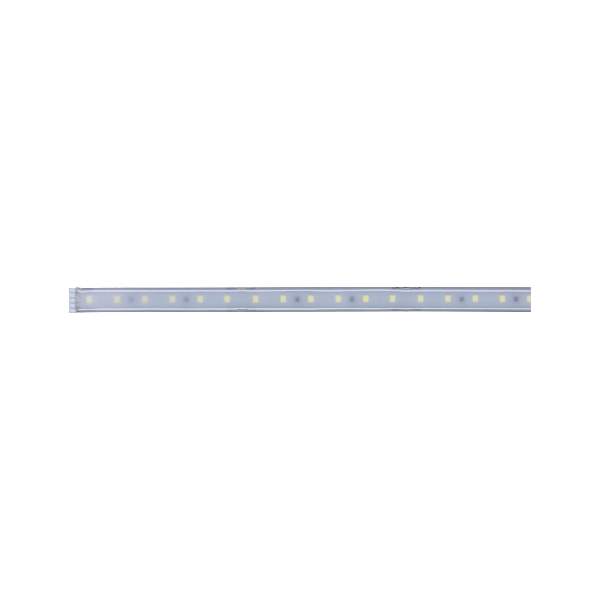 Long LED light strip with white LEDs and transparent plastic casing for modern lighting solutions