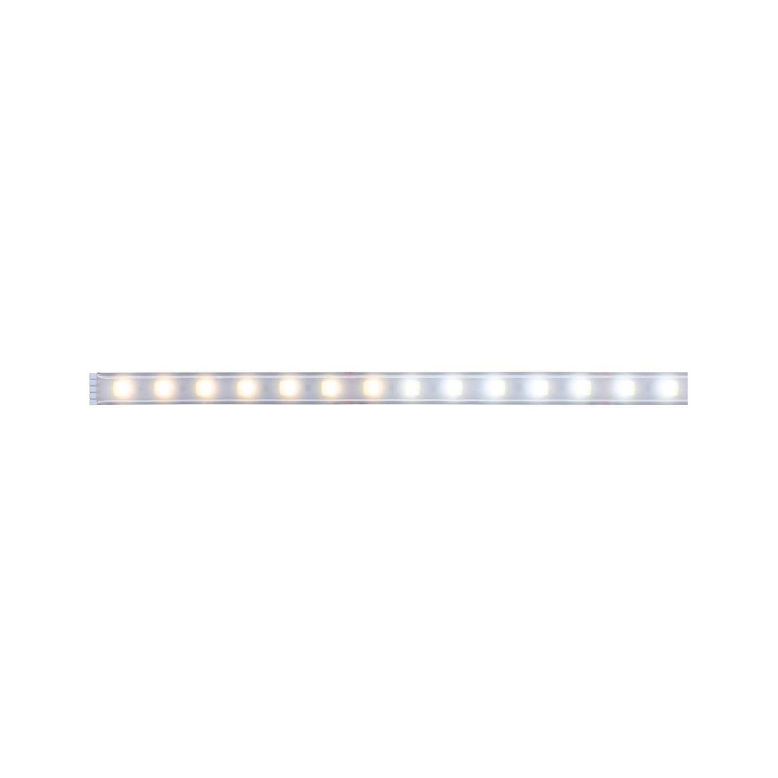 MaxLED 500 LED Strip Tunable White Einzelstripe 1m beschichtet IP44 7W 550lm/m Tunable White