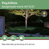 Tuin met warm wit LED-licht dat boom en terras sfeervol verlicht, buitenverlichting