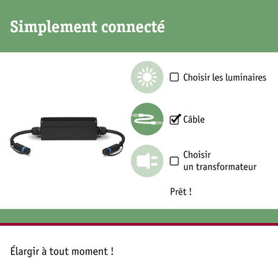 Câble de connexion noir avec connecteurs pour systèmes d'éclairage LED, facile à brancher et à étendre
