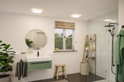 Modern bathroom with white square ceiling lights, green vanity cabinet, and glass shower enclosure