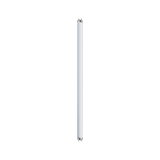 Tube LED blanc avec extrémités métalliques pour éclairage économique en énergie