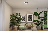 Round ceiling light with white illumination in modern living room featuring green plants and beige armchair.