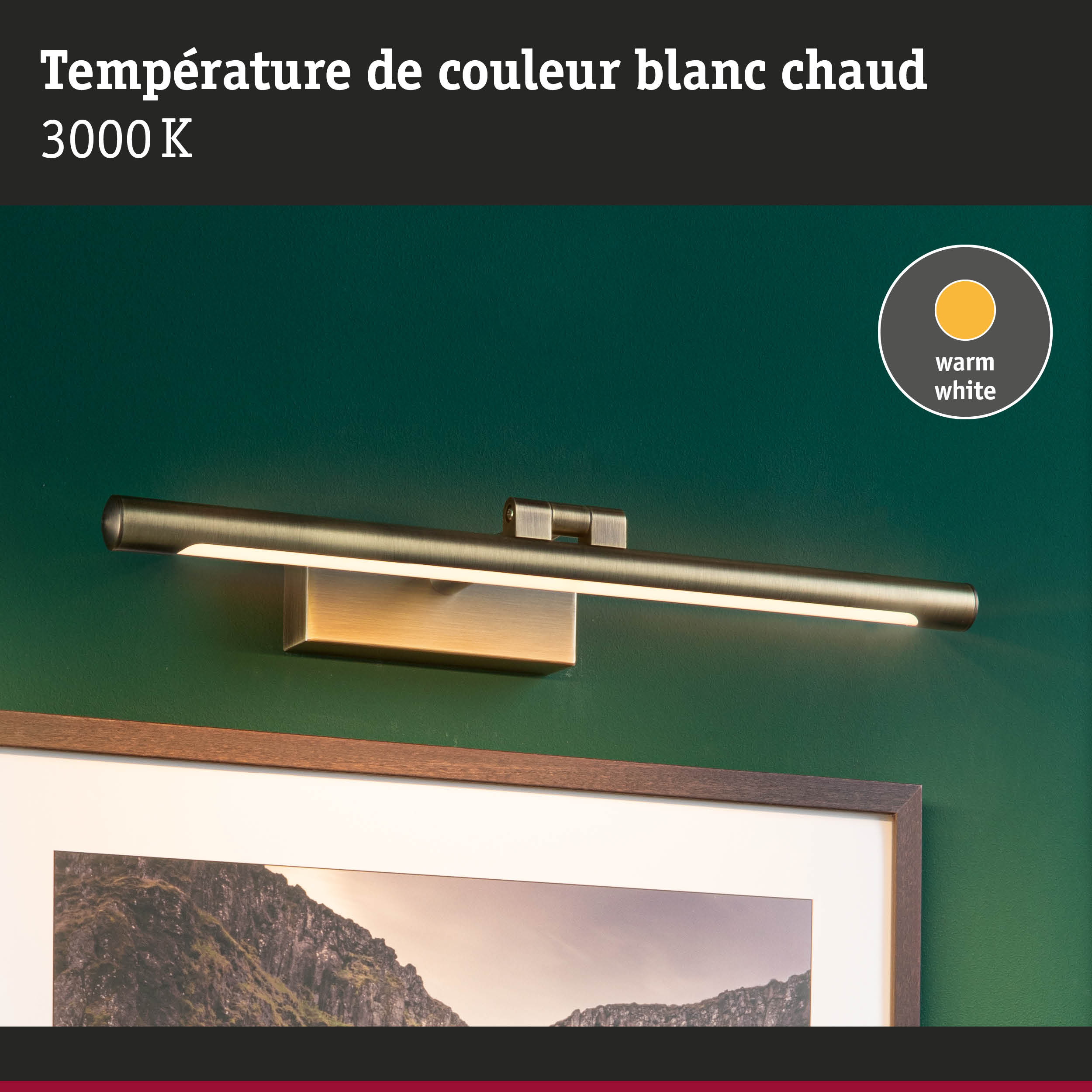 Applique murale en métal brossé avec lumière LED blanc chaud 3000K pour éclairage d'ambiance