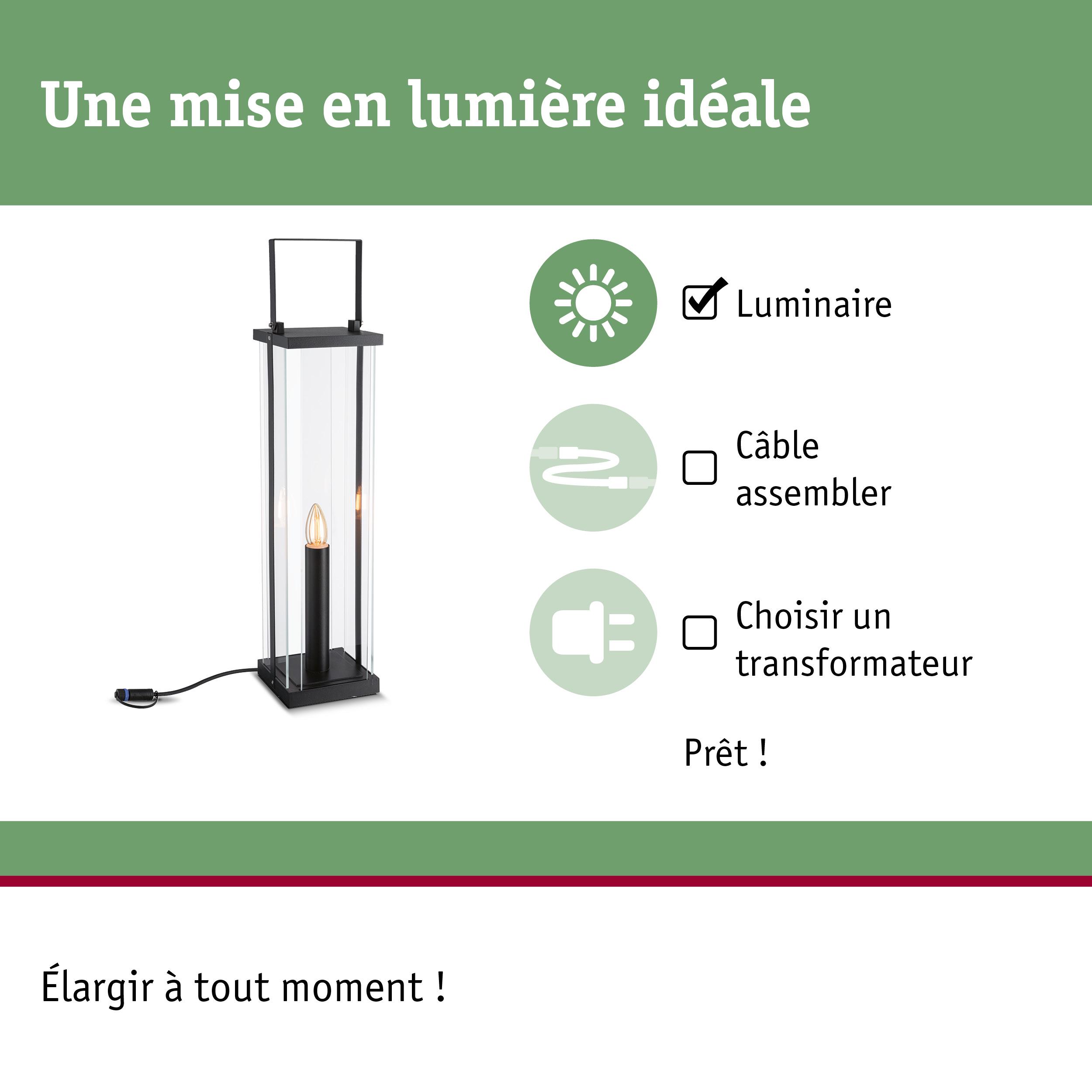 Lampe lanterne noire en verre avec poignée et ampoule visible pour éclairage d'ambiance