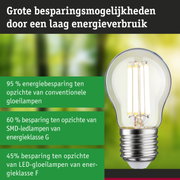 Energiezuinige LED-lamp met helder glas en zilveren fitting, ultra-efficiënte verlichtingsoplossing