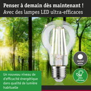 Ampoule LED lumière blanc neutre ultra efficace énergétiquement sur fond de forêt verte