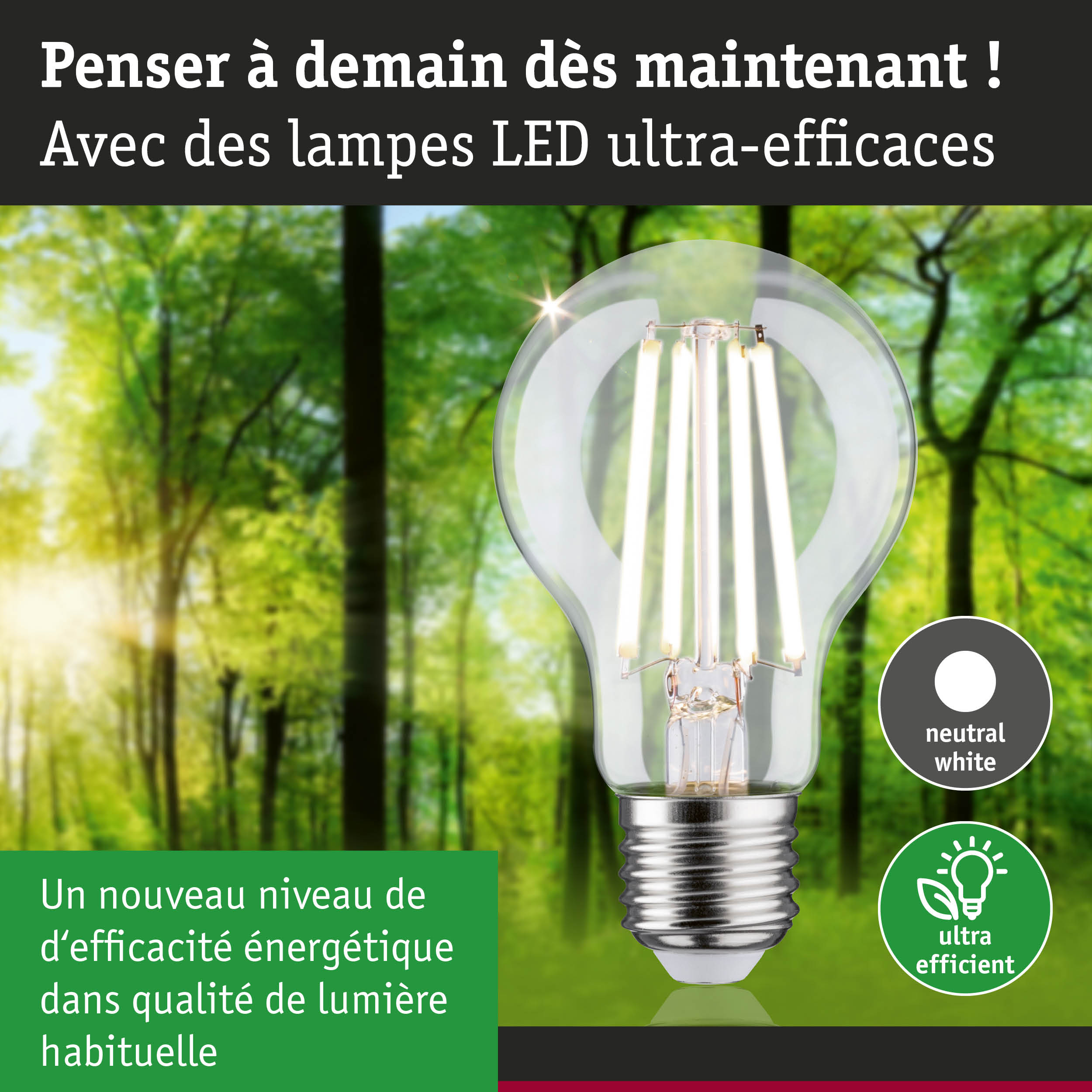 Ampoule LED lumière blanc neutre ultra efficace énergétiquement sur fond de forêt verte