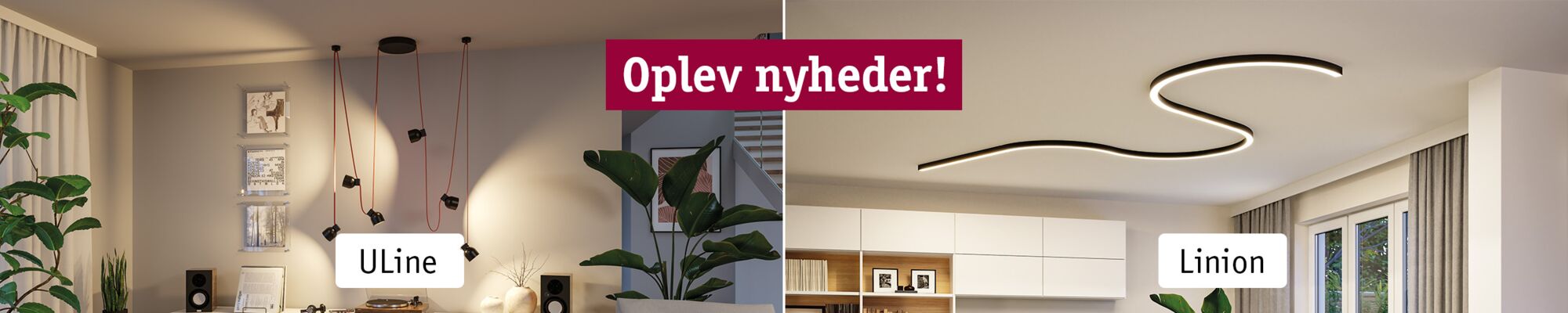 Neuheiten Entdecken Banner