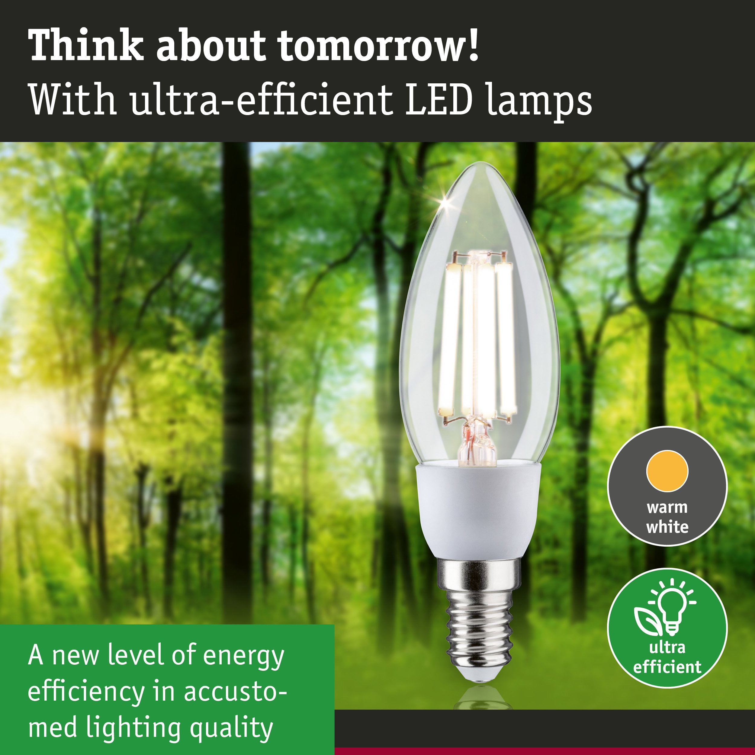 Clear LED bulb with warm white light and high energy efficiency against green forest background