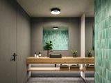 Modern bathroom with wooden vanity, grey sink, green tiled wall, and round LED ceiling light fixture.