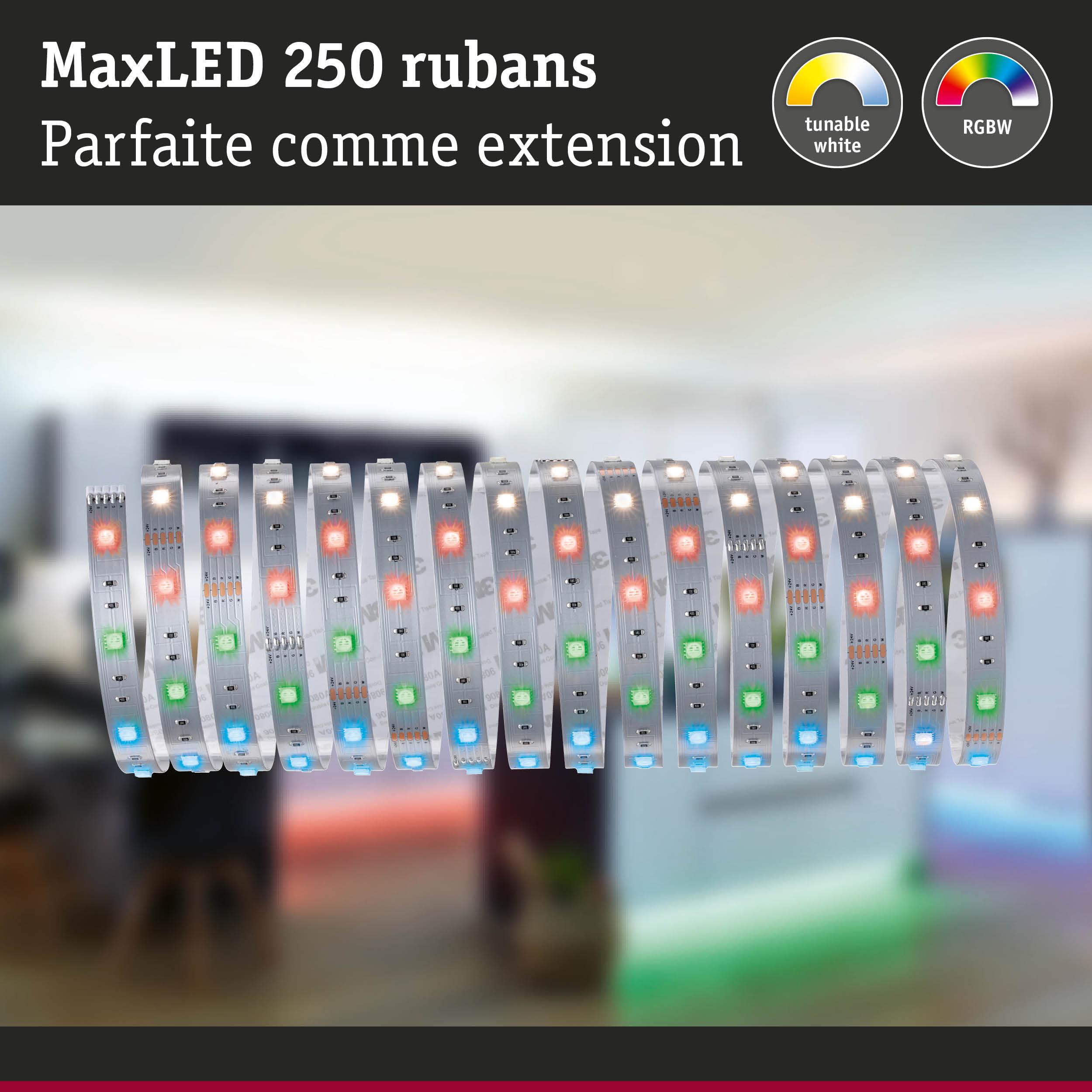 Bande LED MaxLED 250 RGBW avec blanc réglable, extension flexible pour éclairage d'intérieur
