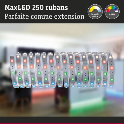 Bande LED MaxLED 250 RGBW avec blanc réglable, extension flexible pour éclairage d'intérieur