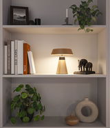 Moderne braune Tischlampe aus Metall auf Regal mit Büchern und Elefantenfigur für Wohnraumbeleuchtung