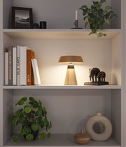 Moderne braune Tischlampe aus Metall auf Regal mit Büchern und Elefantenfigur für Wohnraumbeleuchtung