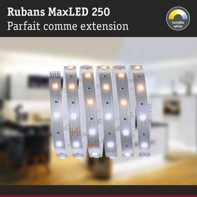 Rubans MaxLED 250 bande LED avec lumière blanche réglable pour éclairage d’intérieur flexible