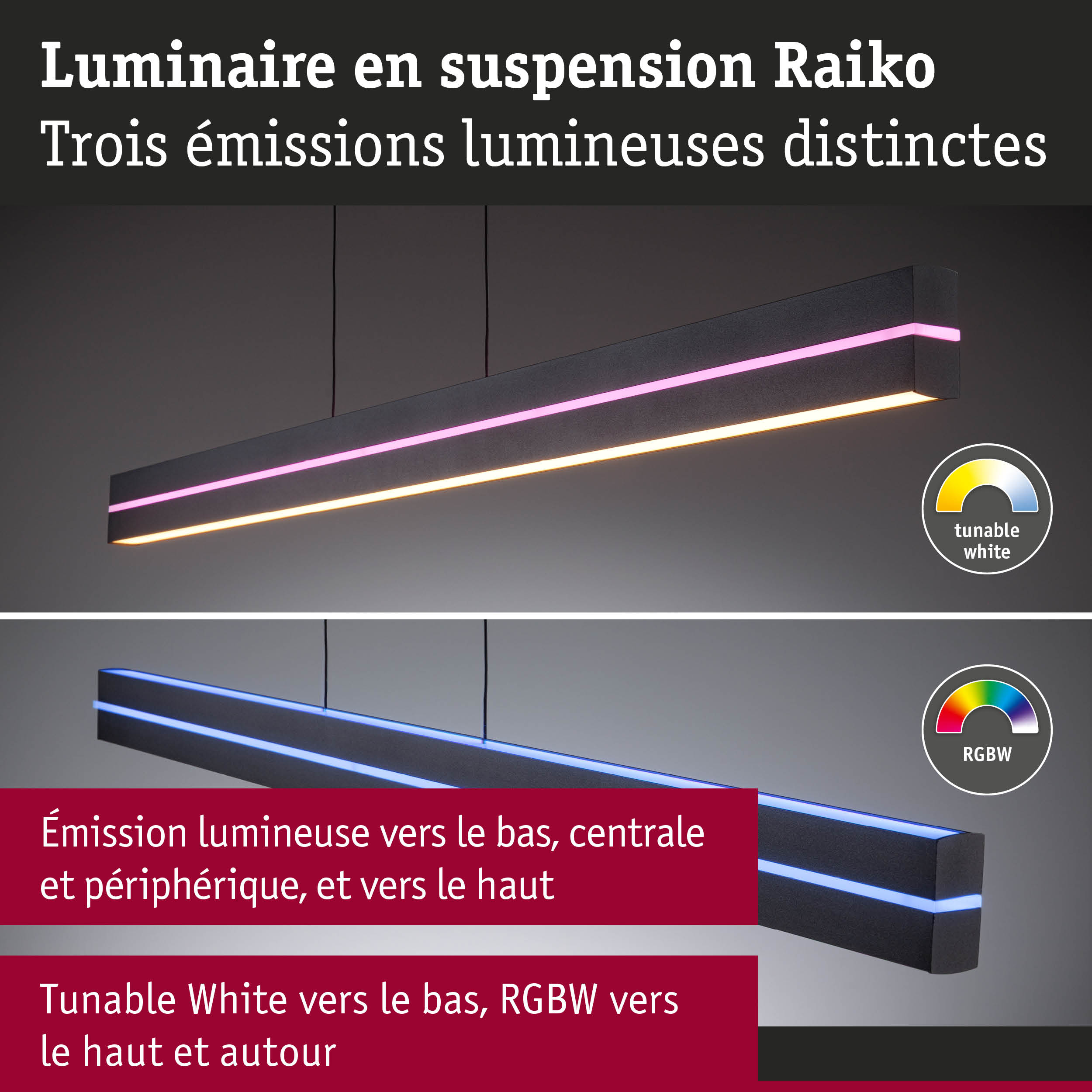 Luminaire suspendu Raiko noir avec éclairage blanc réglable et RGBW pour intérieur moderne