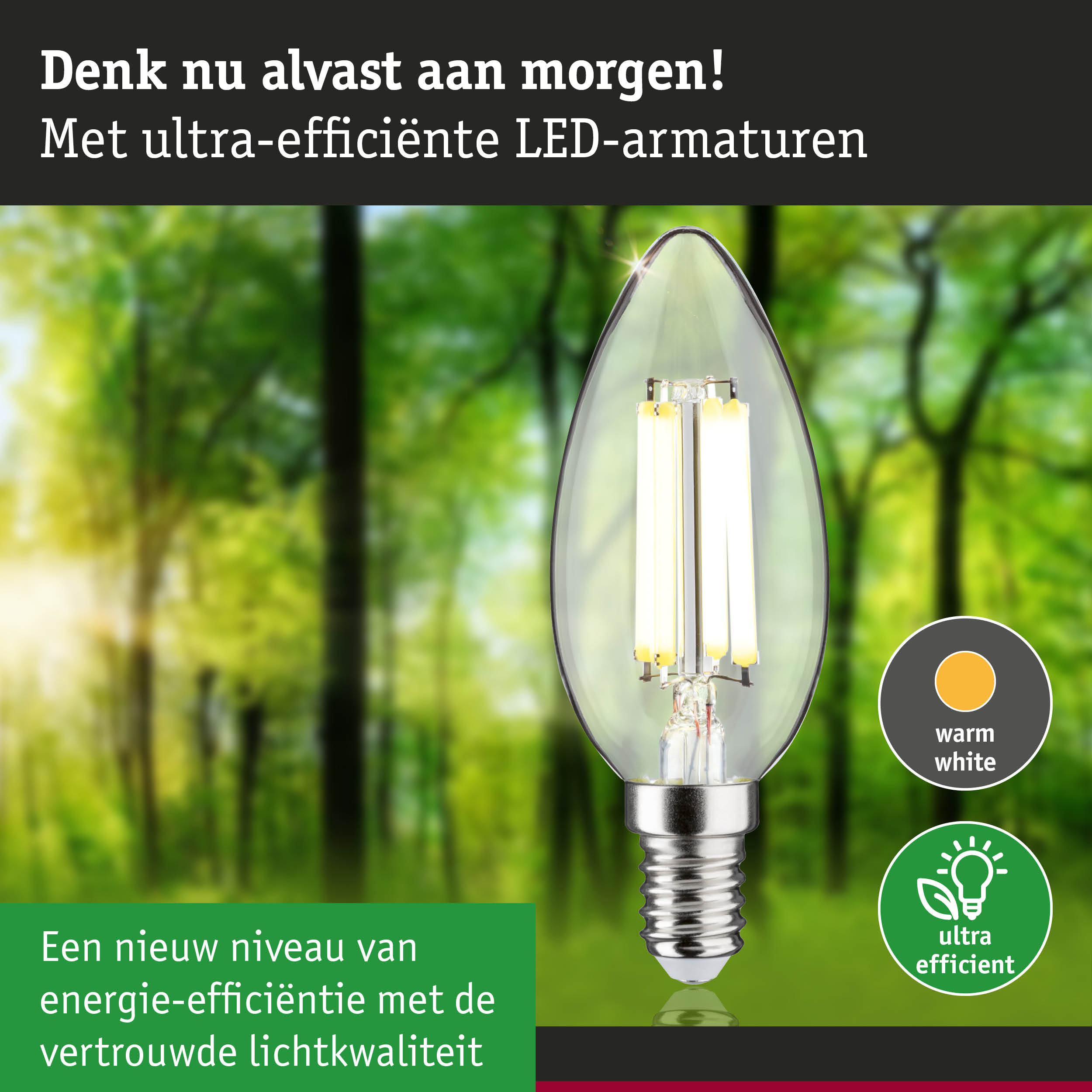 Transparante kaarsvormige LED-lamp met warm wit licht en ultra-efficiënte energiebesparing