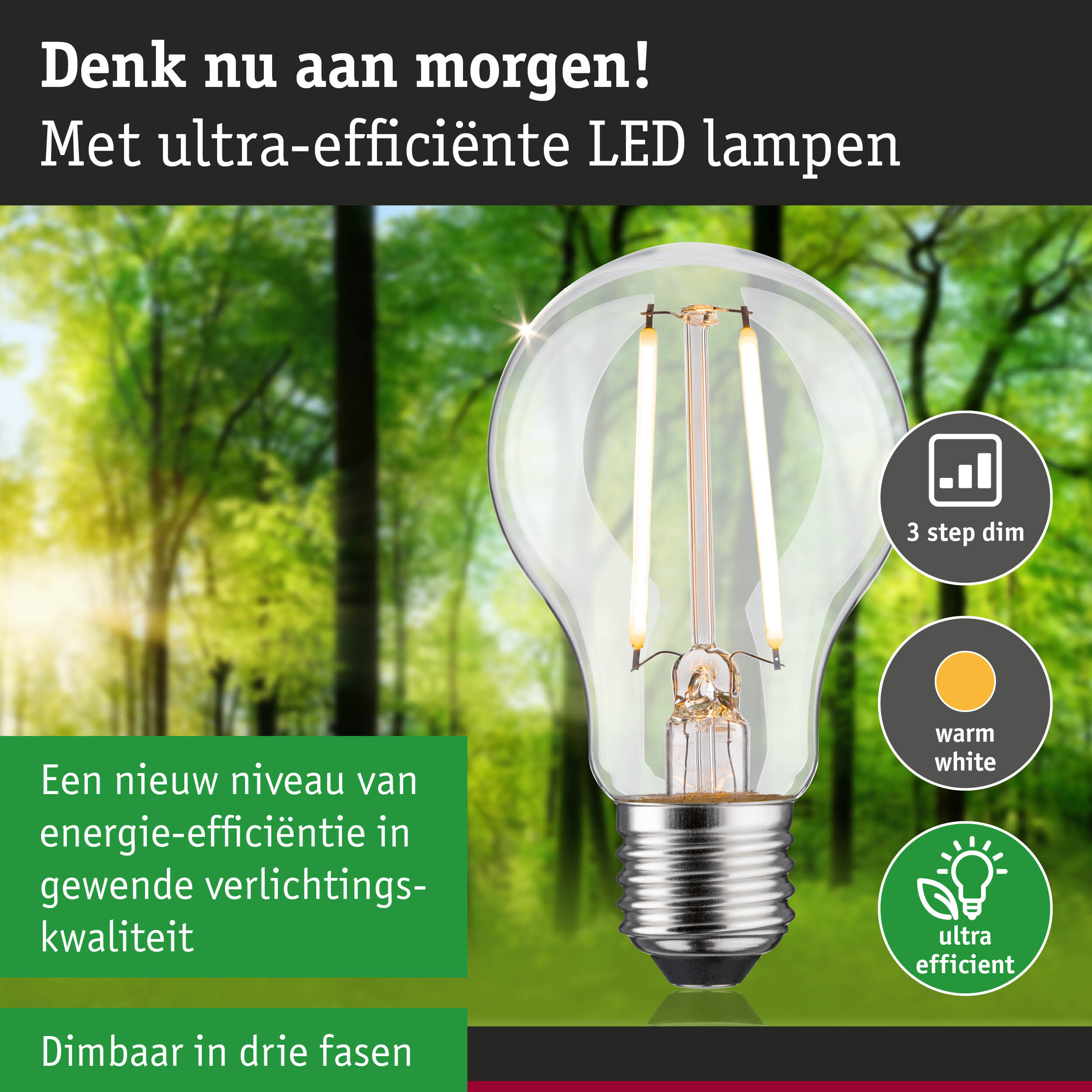 Transparante LED-lamp met warm wit licht en 3-staps dimfunctie voor energiezuinige verlichting