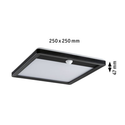 Quadratische Deckenleuchte in Schwarz mit weißem Diffusor und Bewegungsmelder, 250x250 mm, LED Licht