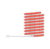 Roter flexibler LED-Lichtstreifen mit weißem Anschlusskabel für dekorative Beleuchtung.