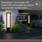 Lampe extérieure LED noire moderne dans un jardin avec technologie économique et design élégant