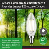Ampoule LED transparente lumière blanc neutre ultra efficace énergétiquement sur fond forêt