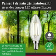 Ampoule LED claire en forme de bougie avec lumière blanc neutre et haute efficacité énergétique