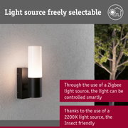 Modern black outdoor wall light with white glass, Zigbee control, insect-friendly lighting
