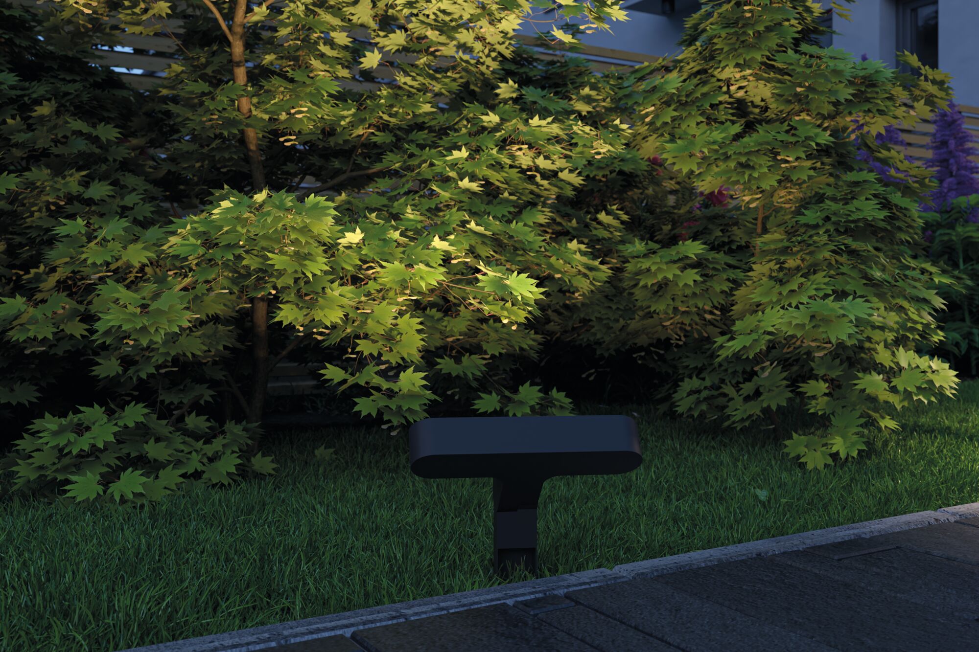 Black LED garden light illuminating green bushes beside a walkway outdoors