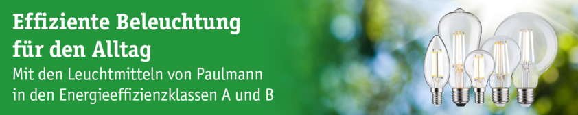 Effiziente LED-Leuchtmittel in verschiedenen Formen mit Energieeffizienzklasse A und B für den Alltag
