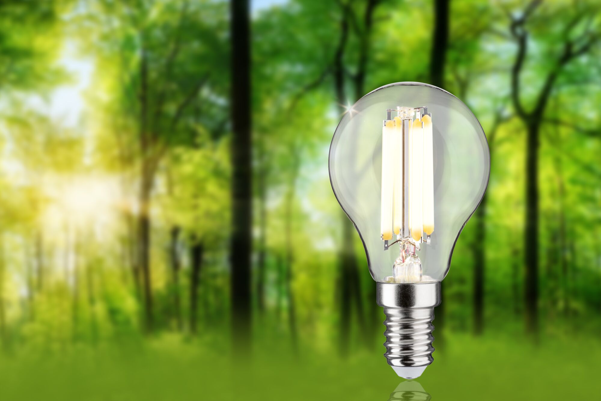 LED bulb with clear glass and warm white light glowing against a green forest background