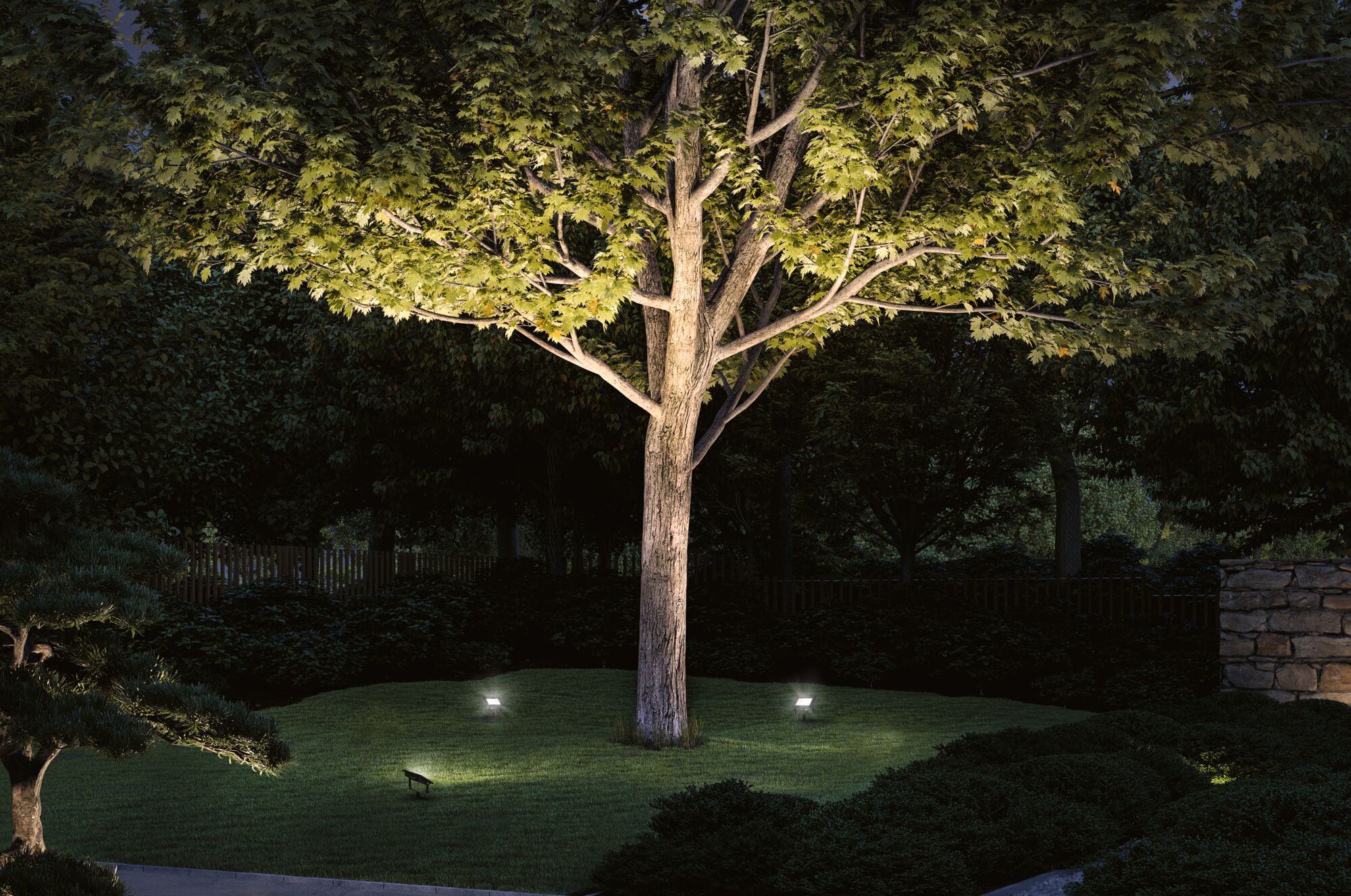 Garden with illuminated tree trunk and green leaves, LED outdoor spotlights on lawn for landscape lighting