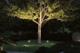 Jardin avec tronc d'arbre éclairé et feuilles vertes, projecteurs LED extérieurs sur pelouse pour éclairage paysager