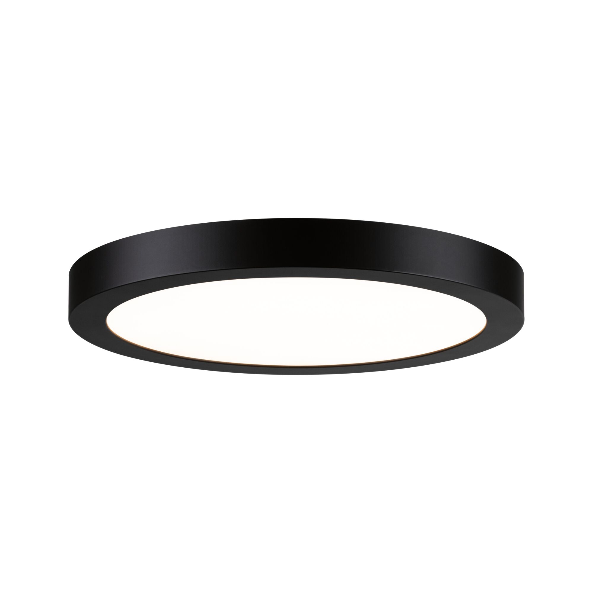 Panneau LED Abia rond 300mm 22W 2200lm 2700K Noir Plafonnier rond en métal noir avec diffuseur blanc pour un éclairage moderne