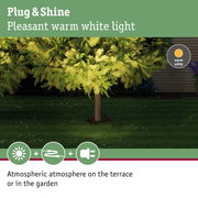 Green tree lit with warm white light for garden and terrace, Plug & Shine outdoor lighting