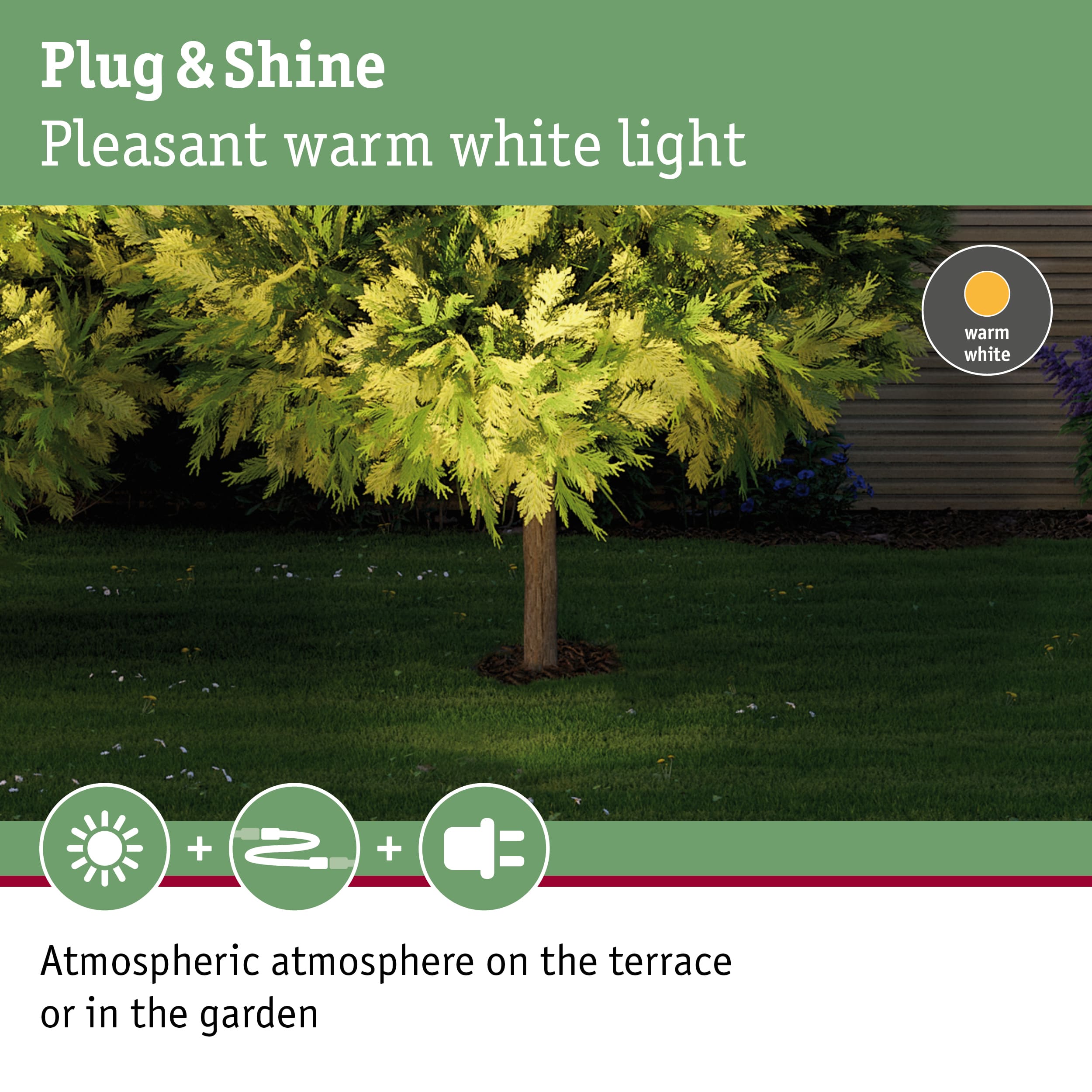 Green tree lit with warm white light for garden and terrace, Plug & Shine outdoor lighting