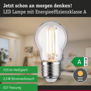 Klarer LED-Leuchtmittel mit warmweißem Licht und hoher Energieeffizienz vor grünem Waldhintergrund