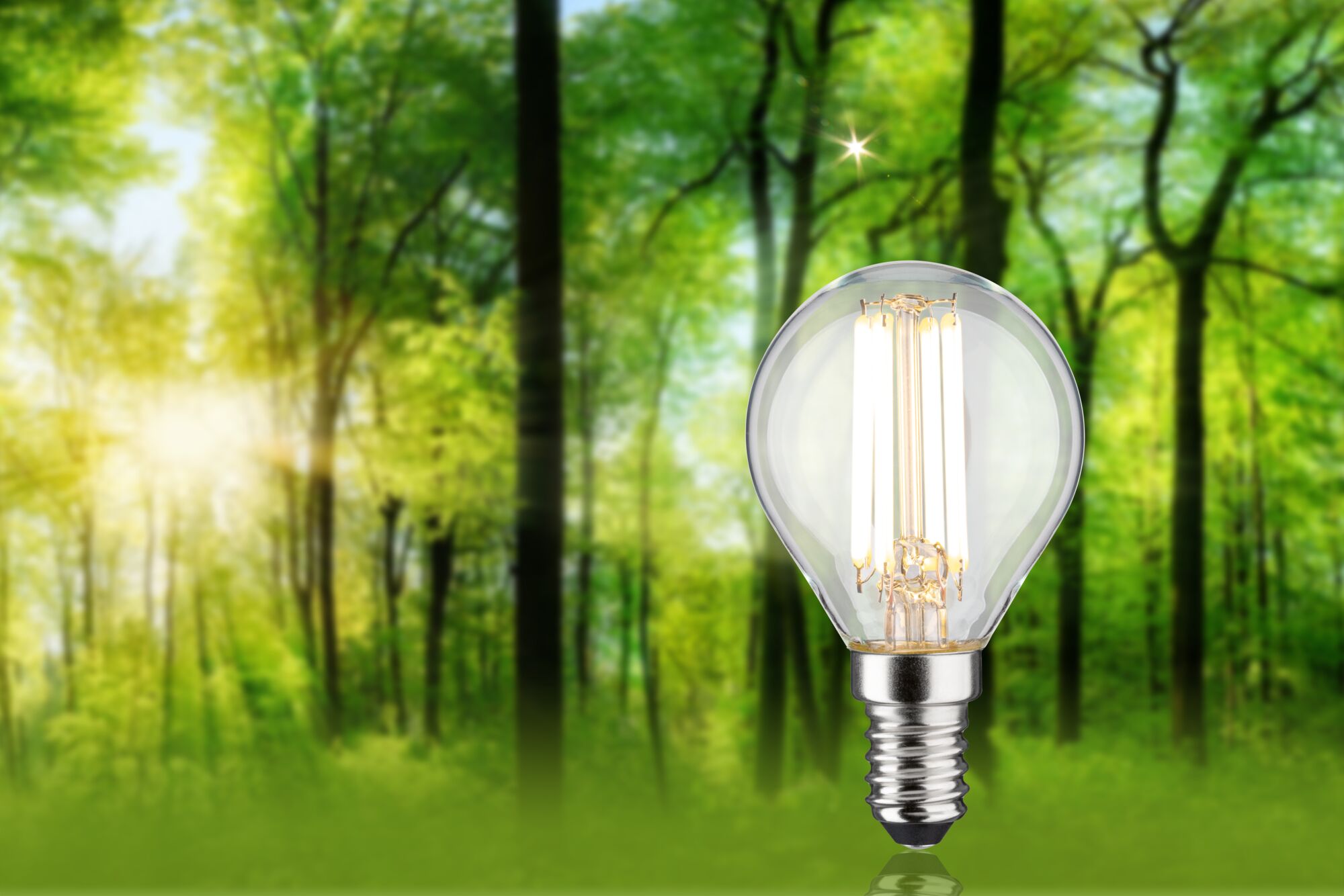 LED-pære med klart glas og E14-fatning foran grøn skovbaggrund til energibesparende belysning