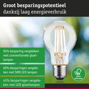 Energiezuinige LED-gloeilamp met helder glas en zilveren fitting voor milieuvriendelijke verlichting